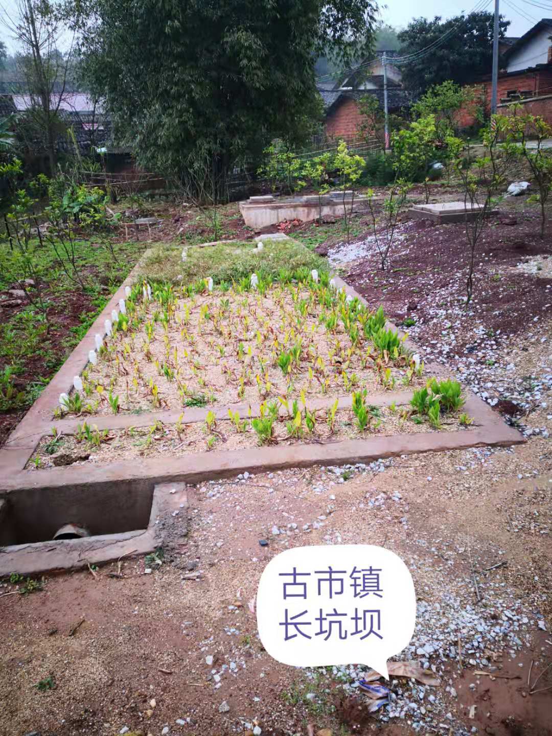 農(nóng)村生活污水治理工程案例(圖2) 農(nóng)村生活污水治理工程案例(圖2)