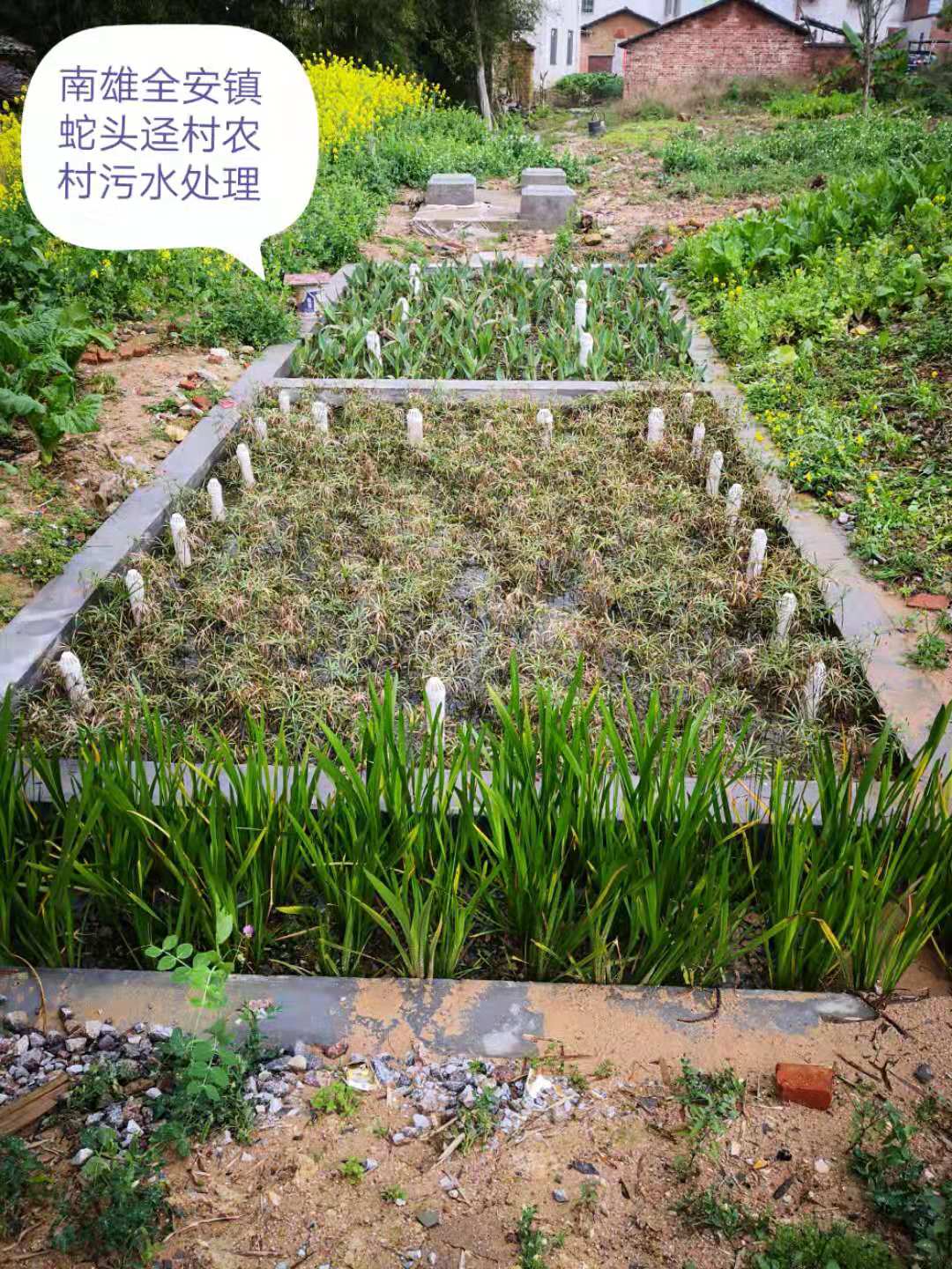 農(nóng)村生活污水治理工程案例(圖4) 農(nóng)村生活污水治理工程案例(圖4)